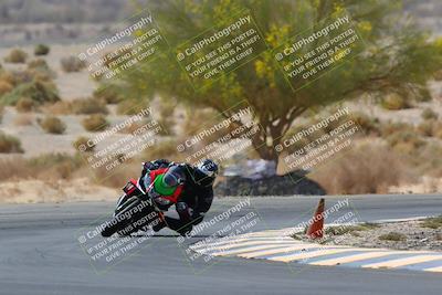 media/Apr-10-2022-SoCal Trackdays (Sun) [[f104b12566]]/Turn 5 Tree of Life (1040am)/